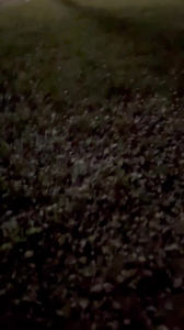 路边草坪刺激后入，被路人看见后不停淫叫