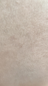 江苏调教人妻，这大屁股爽，单女调教