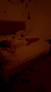 淫妻调教（三）之寂寞少妇 （预热 ）