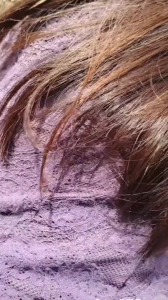 真实自拍调教骚货 小树林后入蕾丝蜜桃臀 调教看简介