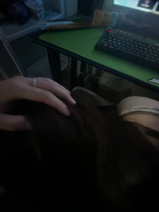 原创 网吧让学妹口交接着手铐后入