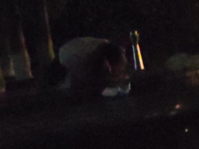 小北门旁边的野战