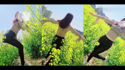 油菜花地后入少妇 操的粉嫩骚穴直冒白浆