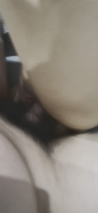 无套内射小秘书