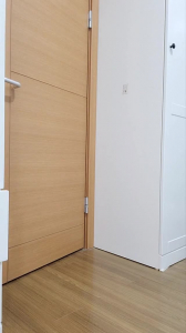 [原创] 女主10部 飞机专用