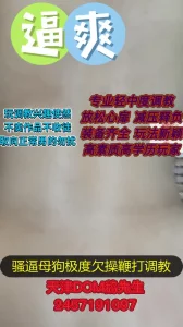 [原创]天津抽逼调教爆操收母狗非诚勿扰