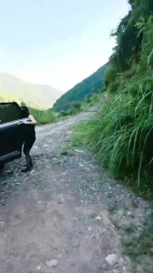 临汾车震  淫语  3P内射